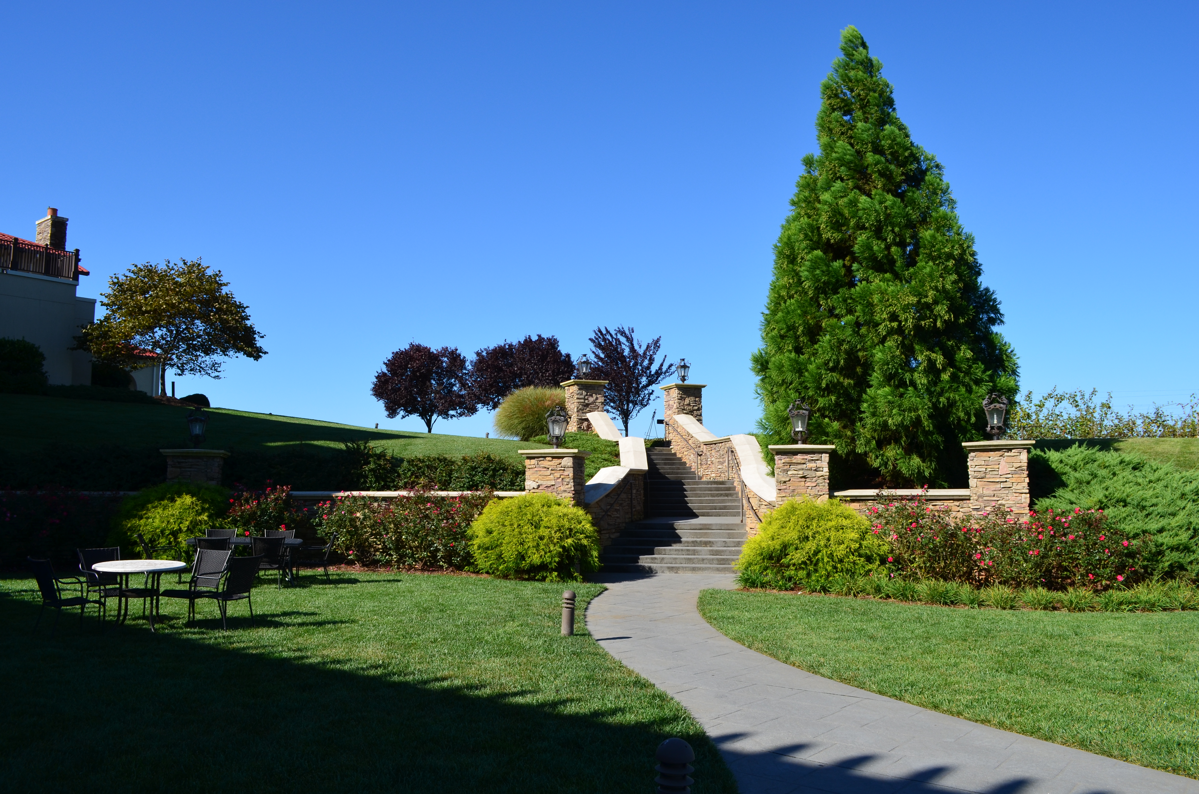 ./2013/Lexington NC/DSC_3029.JPG